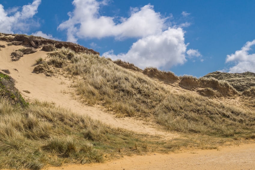 Wanderdüne auf der Nordseeinsel Sylt mit Strandhafer bewachsen.